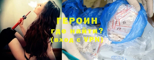 прущие грибы Ельня