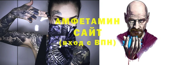 прущие грибы Ельня