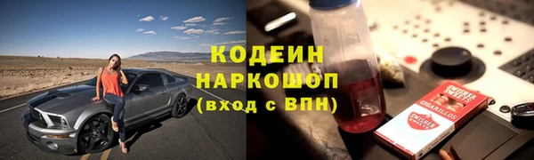 прущие грибы Ельня