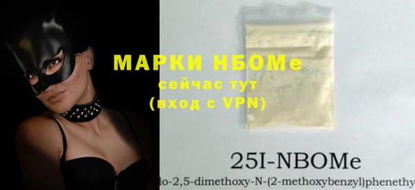 прущие грибы Ельня