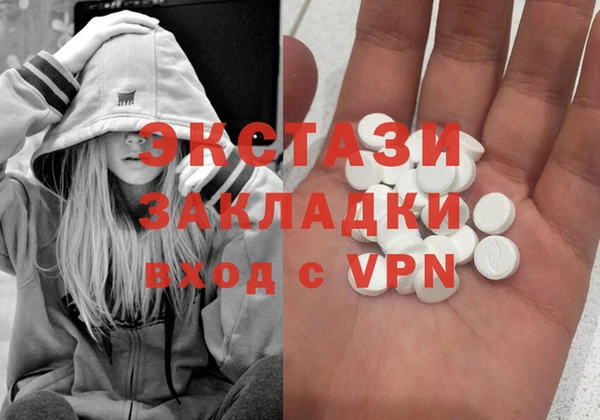 прущие грибы Ельня