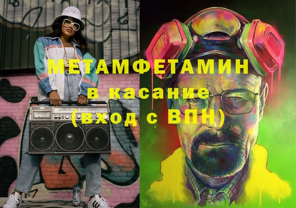 прущие грибы Ельня