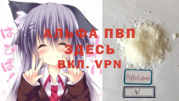 PSILOCYBIN Заводоуковск