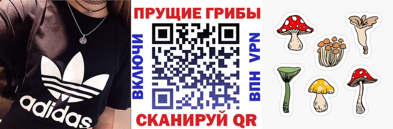 Купить где  Камень-на-Оби  Псилоцибиновые грибы Psilocybine cubensis 