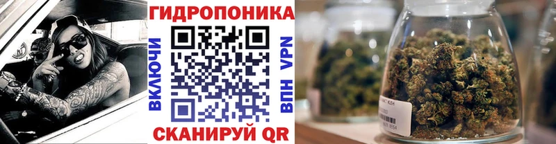 Купить закладки  Камень-на-Оби  МАРИХУАНА индика 